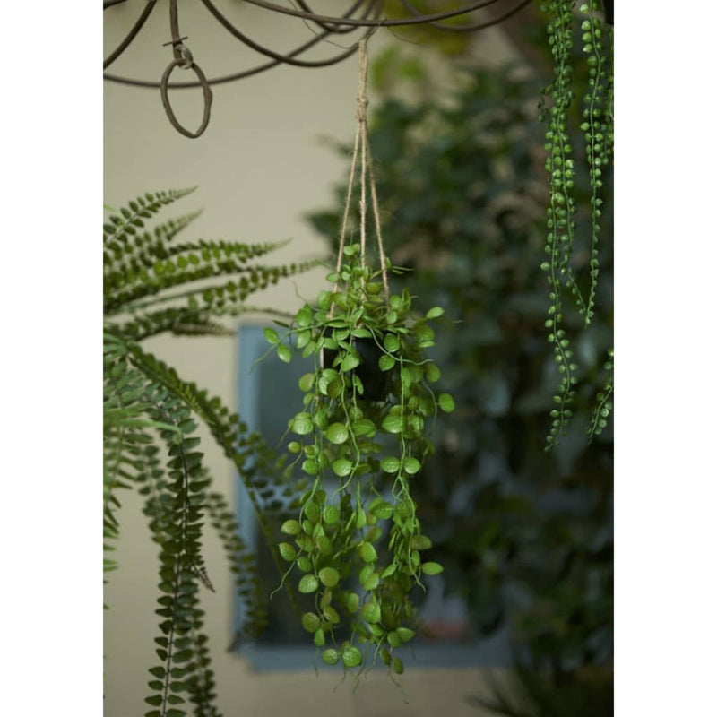 Load image into Gallery viewer, Emerald kunstplant hangend in pot lantaarnplant 50 cm
