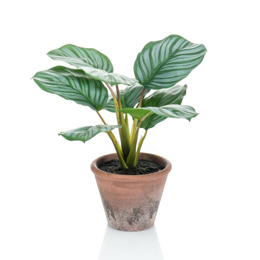 Emerald kunstplant in pot terra calathea orbifolia 32 cm