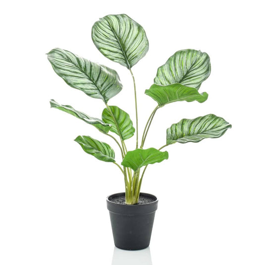 Emerald kunstplant in pot calathea orbifolia 45 cm