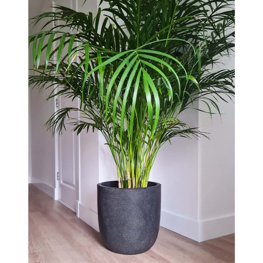 Capi plantenbak waste smooth 43x41 cm grijs