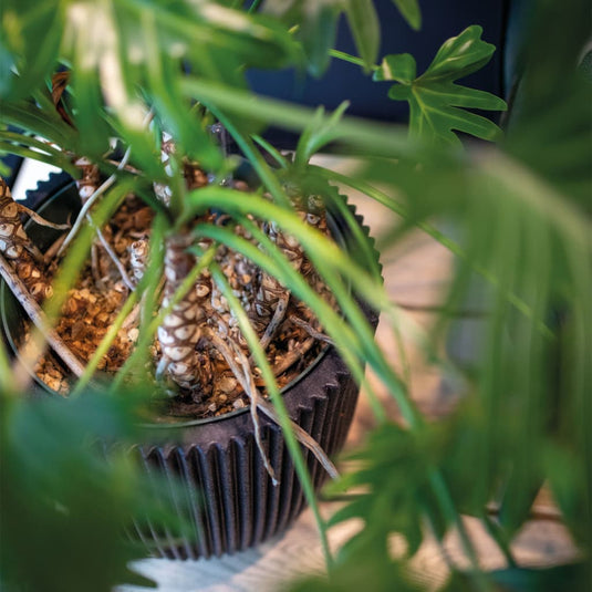 Capi bloempot groove elegant 34x46 cm zwart