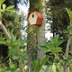 Capi vogelhuisje hive 2 ovaal gat 19x23x20 cm bruin