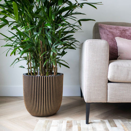 Capi plantenbak groove 35x34 cm zwart en goudkleurig