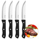 Vaggan steakmessen 4 stuks rvs zwart
