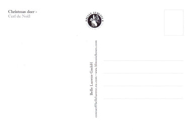 Prentbriefkaart cd10: christmas dee 6 st