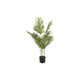 Countryfield kunstplant kentia m groen dia.70xh100cm