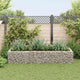 Vidaxl gabion plantenbak verhoogd 270x90x50 cm staal