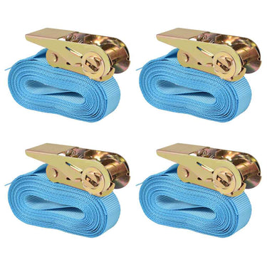 Vidaxl spanbanden 0,8 ton 6mx25mm blauw 4 st