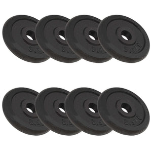 Vidaxl halterschijven 8 st 8x2,5 kg gietijzer