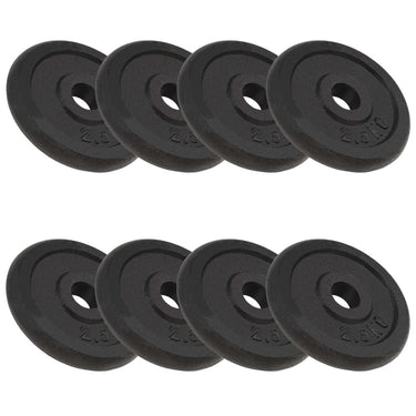 Vidaxl halterschijven 8 st 8x2,5 kg gietijzer