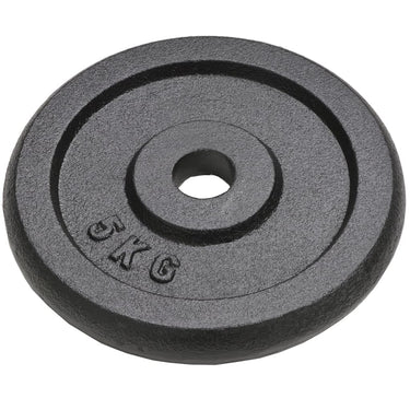Vidaxl halterschijven 4 st 4x5 kg gietijzer