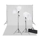Vidaxl studioset met witte achtergrond en lampen 600x300 cm