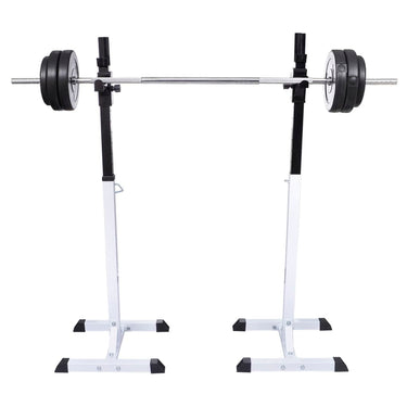 Vidaxl halter- en gewichtenstandaard
