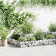 Vidaxl gabion plantenbak 120x120x20 cm gegalvaniseerd staal