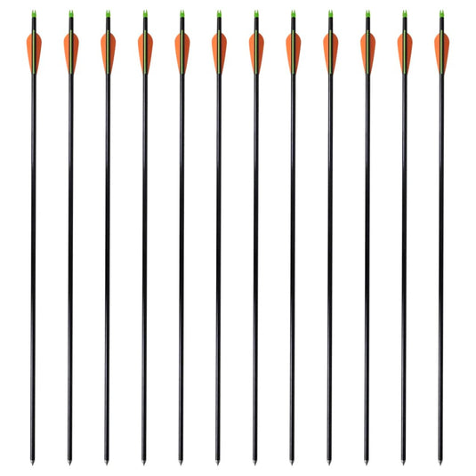Vidaxl pijlen compoundboog standaard 30 0,8 cm glasvezel 12 stuks