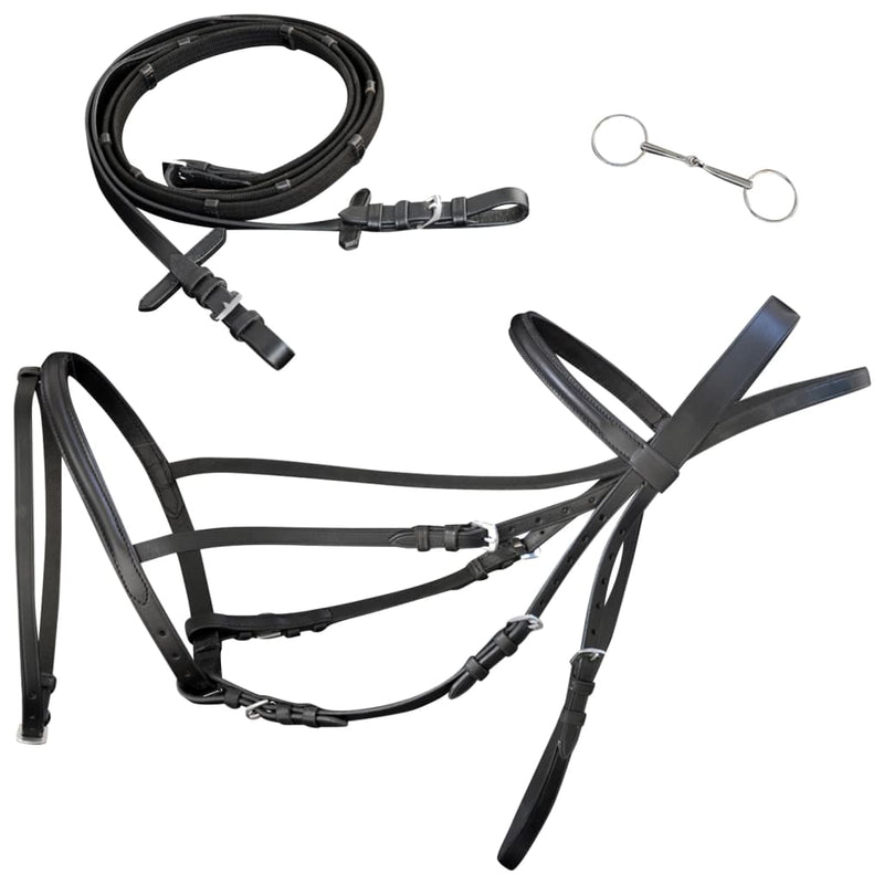Load image into Gallery viewer, Vidaxl hoofdstel leer met gecombineerde neusriem, teugels en bit zwart full
