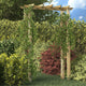 VidaXL Rozenboog 150x60x204 cm geïmpregneerd hout