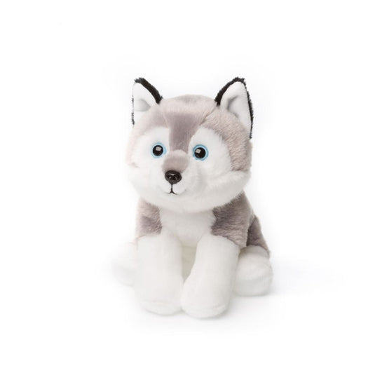 Acp sitting husky 15 cm