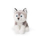 Acp sitting husky 15 cm