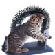 Pets collection kattenspeelgoed borstelboog