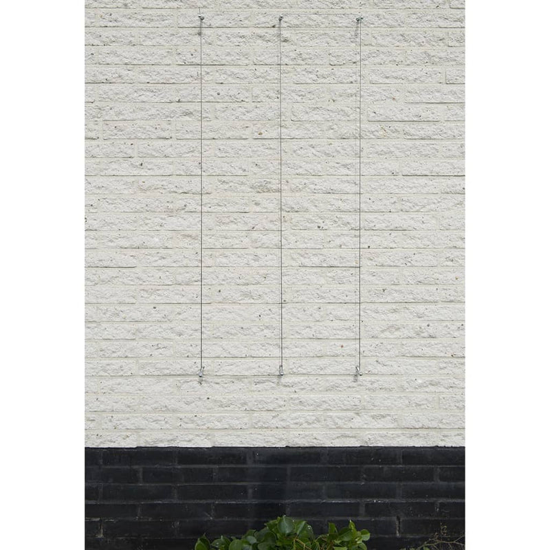 Load image into Gallery viewer, Nature Nature Spandraadsytemen voor klimplanten 2 st
