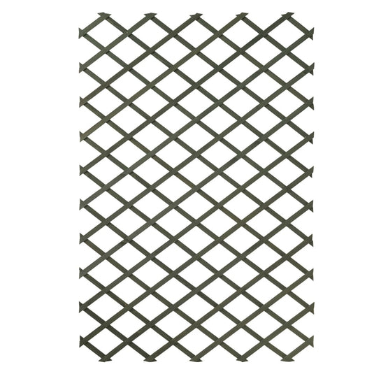 Nature Nature Tuinlatwerken 2 st 100x200 cm hout groen