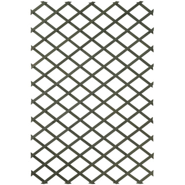 Nature Nature Tuinlatwerken 2 st 50x150 cm hout groen