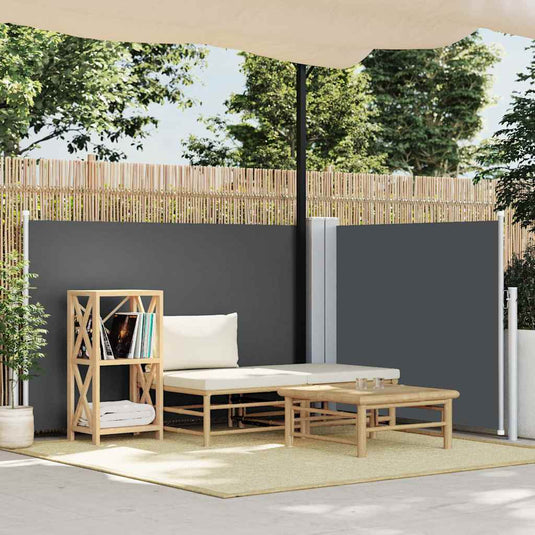 Vidaxl windscherm uittrekbaar 100x600 cm antraciet