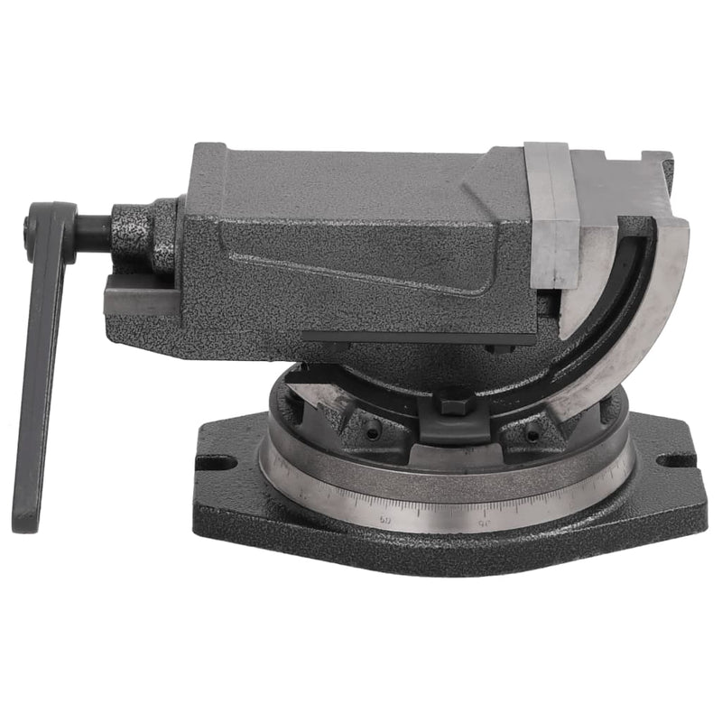 Load image into Gallery viewer, Vidaxl bankschroef met 2 assen kantelbaar 100 mm
