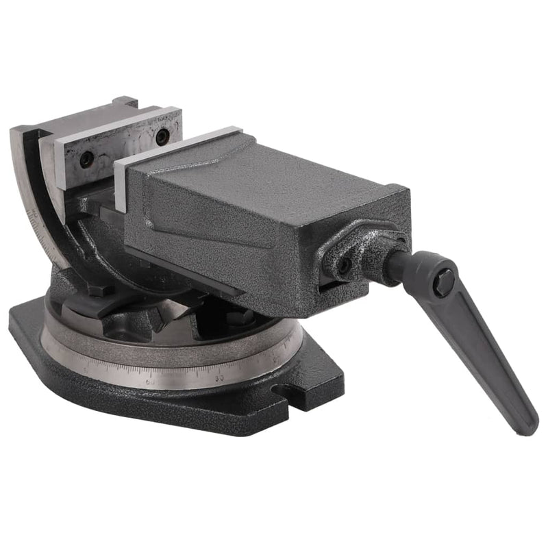 Load image into Gallery viewer, Vidaxl bankschroef met 2 assen kantelbaar 100 mm
