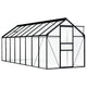 VidaXL Tuinkas 9,31 m² aluminium antracietkleurig