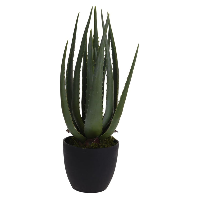 Load image into Gallery viewer, ProGarden ProGarden Kunstplant in pot Aloe Vera 25x45 cm
