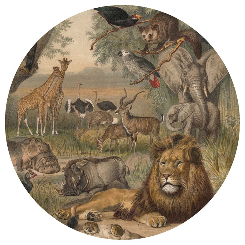 Load image into Gallery viewer, Wallart behangcirkel animals of africa 190 cm
