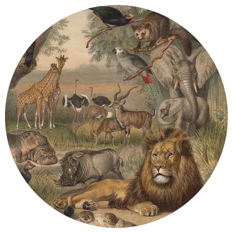Load image into Gallery viewer, Wallart behangcirkel animals of africa 142,5 cm
