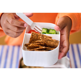Mepal rvs bento lunchbox campus - 750 ml - broodtrommel met vakjes voor kinderen - geschikt voor 4 boterhammen - lunchbox rvs - spiderman
