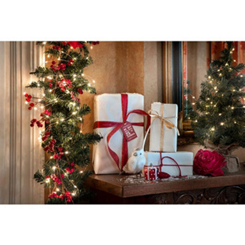 Load image into Gallery viewer, Lumineo Lumineo Micro LED Stringlights Verlichting Zilverdraad 24M 480 LEDs Buiten Warm Wit
