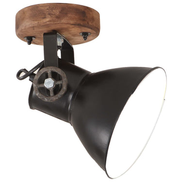 Vidaxl wand- plafondlampen industrieel 2 st e27 20x25 cm zwart