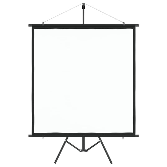 VidaXL Projectiescherm met statief 1:1 67''