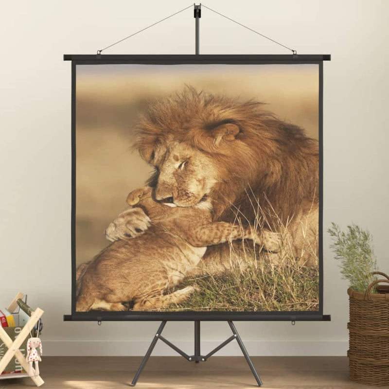 Load image into Gallery viewer, VidaXL Projectiescherm met statief 1:1 72''
