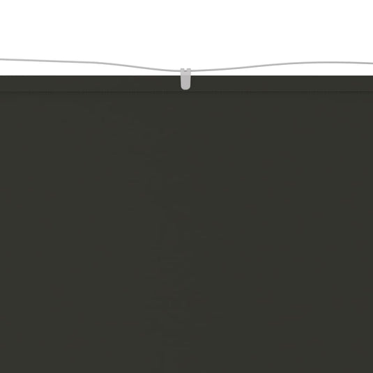 VidaXL Luifel verticaal 100x270 cm oxford stof antracietkleurig