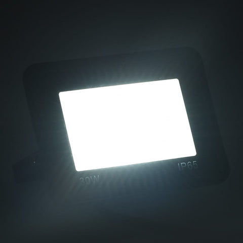 Vidaxl spotlight led 30 w koudwit