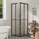 Vidaxl douchecabine 70x70x180 cm esg