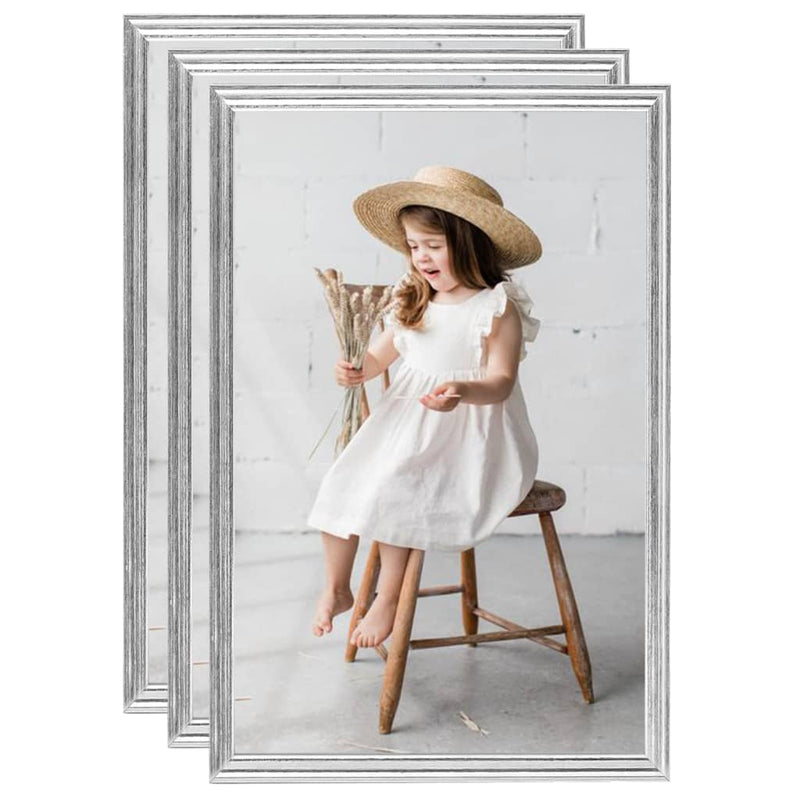 Load image into Gallery viewer, Vidaxl fotolijsten 3 st voor tafel 21x29,7 cm zilverkleurig
