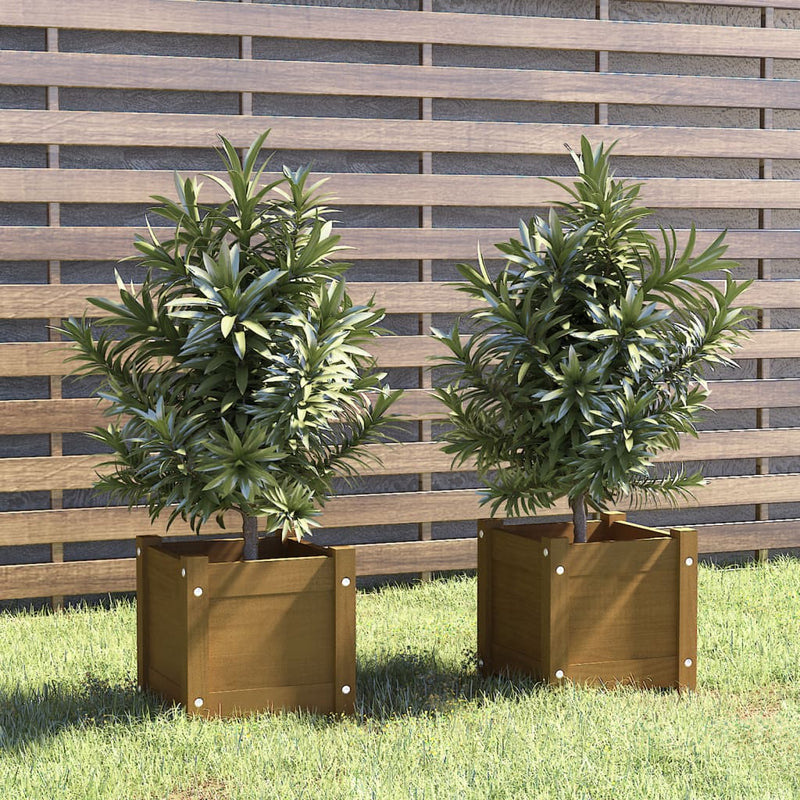 Load image into Gallery viewer, Vidaxl plantenbakken 2 st 31x31x31 cm massief grenenhout honingbruin

