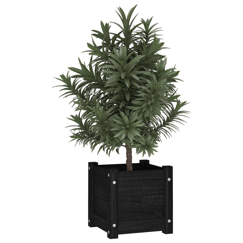 Load image into Gallery viewer, Vidaxl plantenbak 31x31x31 cm massief grenenhout zwart
