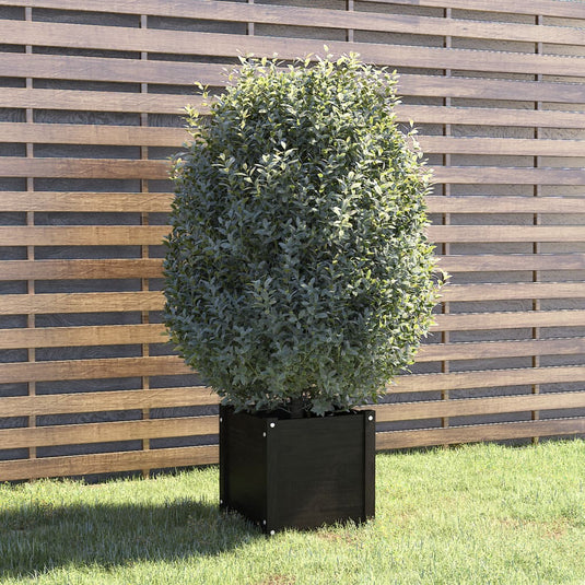 Vidaxl plantenbak 40x40x40 cm massief grenenhout zwart