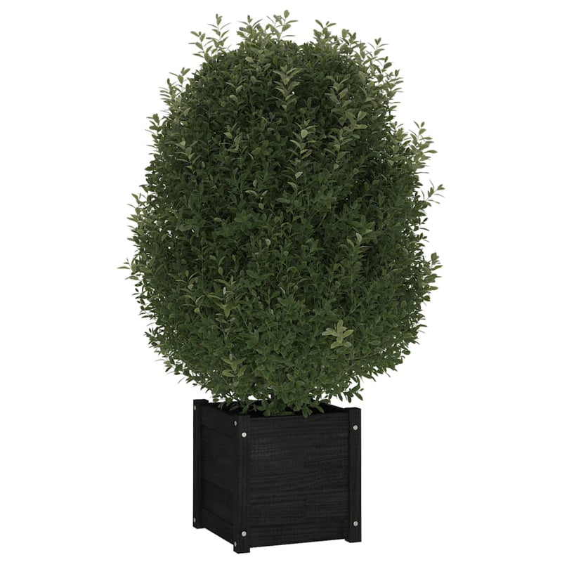 Load image into Gallery viewer, VidaXL Plantenbakken 2 st 40x40x40 cm massief grenenhout zwart
