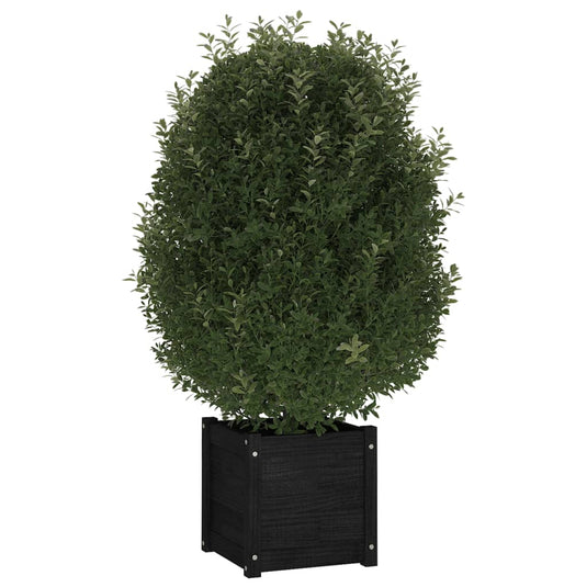 VidaXL Plantenbakken 2 st 40x40x40 cm massief grenenhout zwart