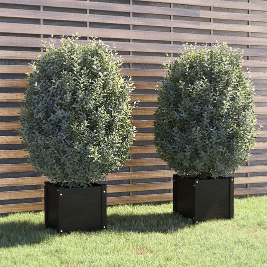 VidaXL Plantenbakken 2 st 40x40x40 cm massief grenenhout zwart