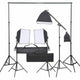 Vidaxl fotostudioset met verlichtingsset